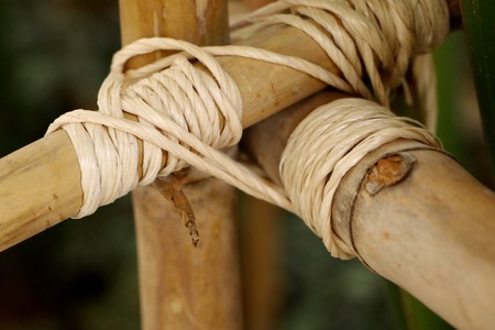 rope to bamboo fenceの写真素材