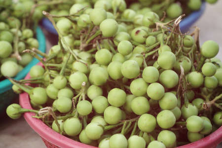 Eggplant in the marketの写真素材