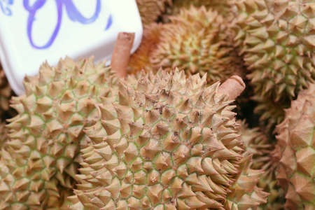 durian fruitの写真素材