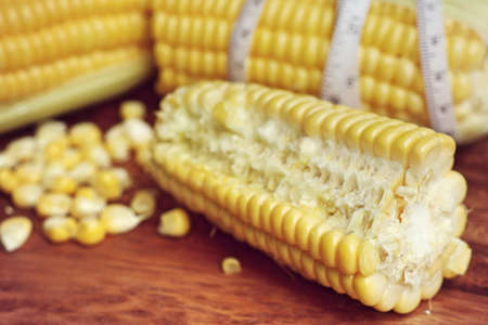 fresh cornの写真素材