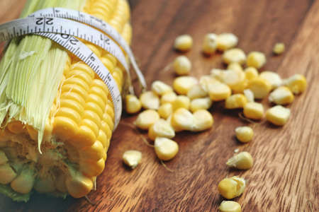 fresh cornの写真素材