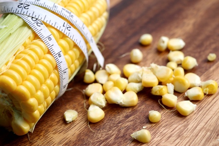 fresh cornの写真素材