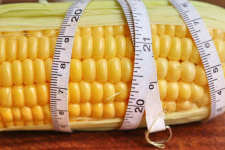 fresh cornの写真素材