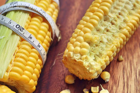 fresh cornの写真素材