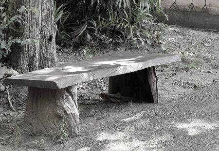 bench in the parkの写真素材