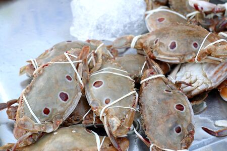 Fresh crab at street foodの写真素材
