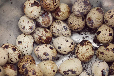 Quail eggs