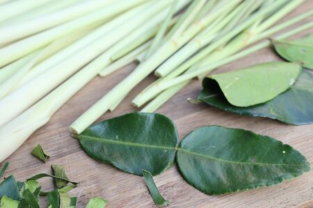 lemongrass and kaffir lime leavesの写真素材