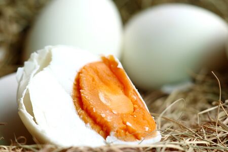 salted egg in the nestの写真素材