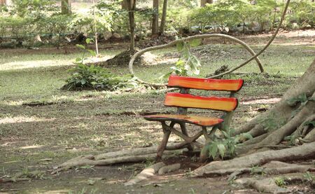 bench in the parkの写真素材