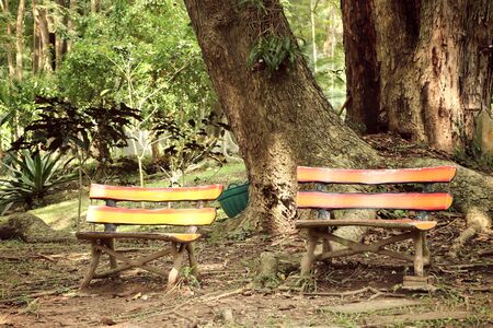 bench in the parkの写真素材
