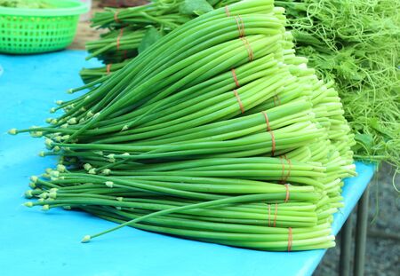 Spring onion flower at market