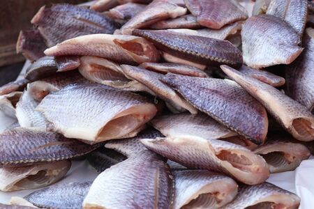 fish