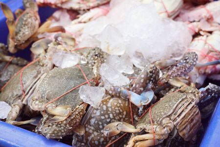 Fresh crab at street foodの写真素材