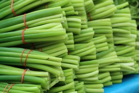 Spring onion flower at marketの写真素材