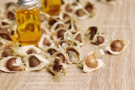 moringa oil with dried seedの写真素材