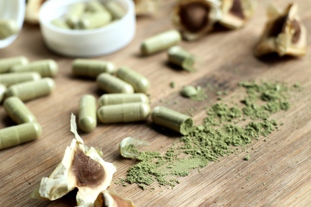 Moringa capsules with dried seedの写真素材