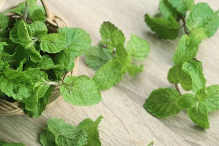 Mint leaves on woodenの写真素材