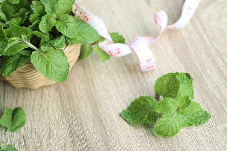 Mint leaves on woodenの写真素材