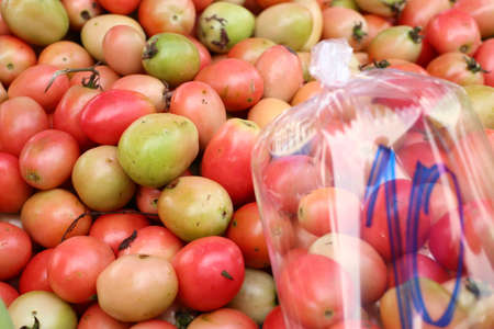 tomatoes in the marketの写真素材