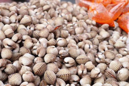 Cockles at the street food