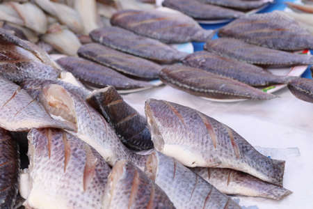 fish at the marketの写真素材