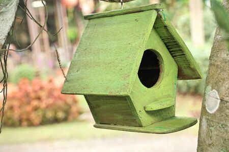 Bird house in natureの写真素材