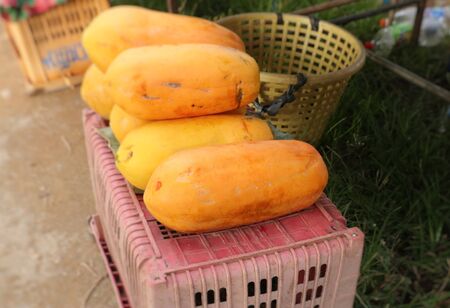 papaya at street foodの写真素材