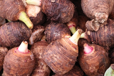 organic taro at street food