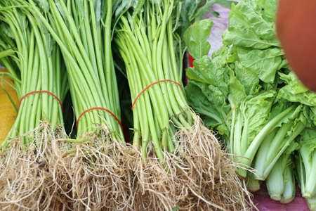 morning glory in marketの写真素材