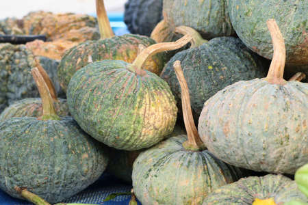 Pumpkin at street foodの写真素材
