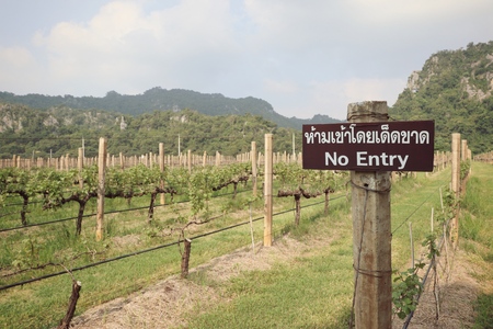 Signs not allowed to enterの写真素材