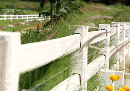 White fence on the farmの写真素材