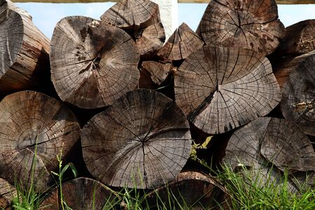 Stack timber on grass