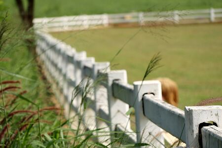 White fence on the farmの写真素材