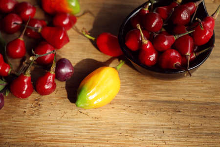 Spicy red chili peppersの写真素材