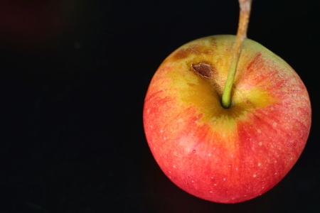 red sweet apple fruitの写真素材