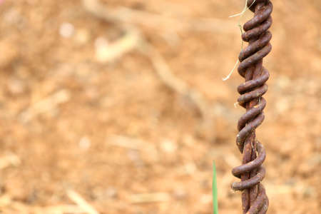 barb wire in vineyardの写真素材