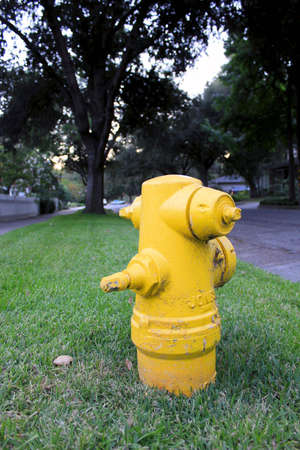 Yellow Fire Hydrantの写真素材