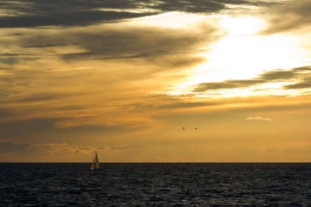Sunset at the ocean with sailboat and seagullsの写真素材