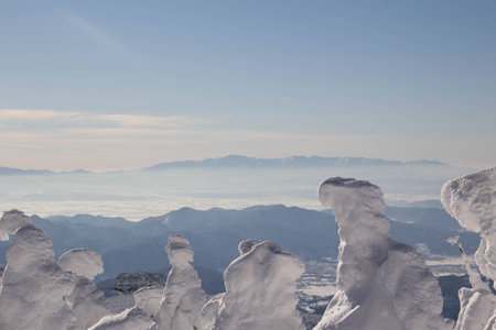 Hard rimeの写真素材