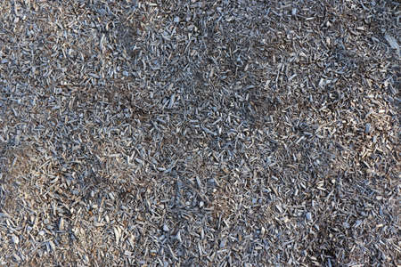 The texture of the old sheet covered with frost. Backgroundの写真素材