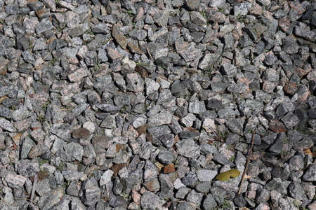 Gravel texture. Small stones on the ground. Gravel background.の写真素材