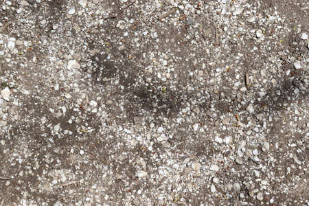 Texture of pebbles on the ground. Abstract background for design.の写真素材