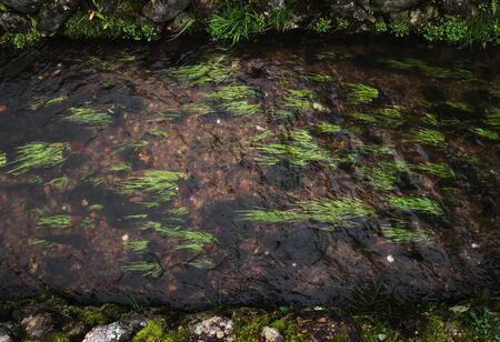 Bottom of irrigation canal in Shirakawa Village or Shirakawa-go, a Japanese traditional village,  ...