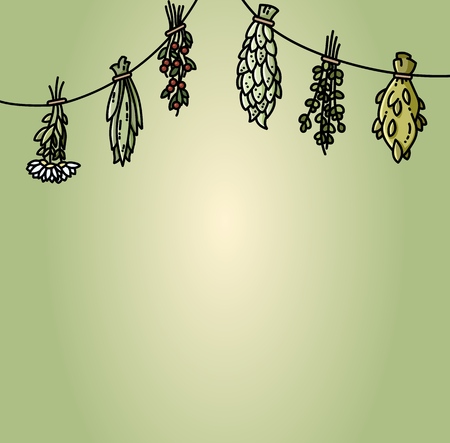 Dried herbs hanging on the thread flat vector style illustrationのイラスト素材