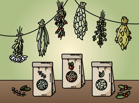 Healthy herbs and natural tea flat style illustrationのイラスト素材