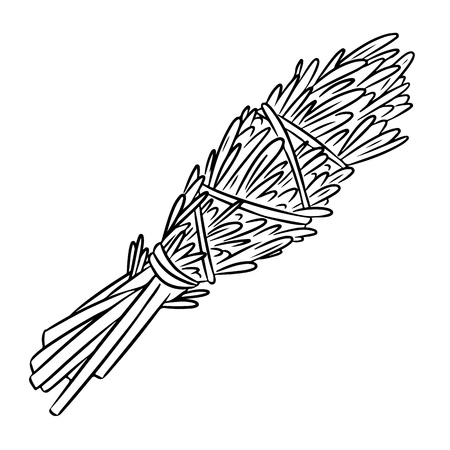Sage smudge stick hand-drawn doodle isolated illustration. Rosemary herb bundleのイラスト素材