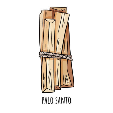 Palo Santo holy wood tree aroma sticks from Latin America. Smudge burning incense bundleのイラスト素材
