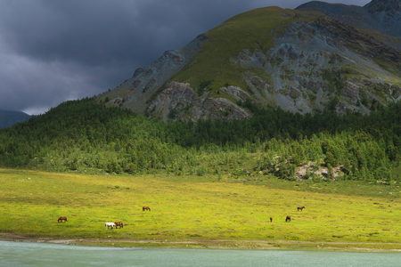 Akkem river valley landscape picturesque view. Altaiの写真素材